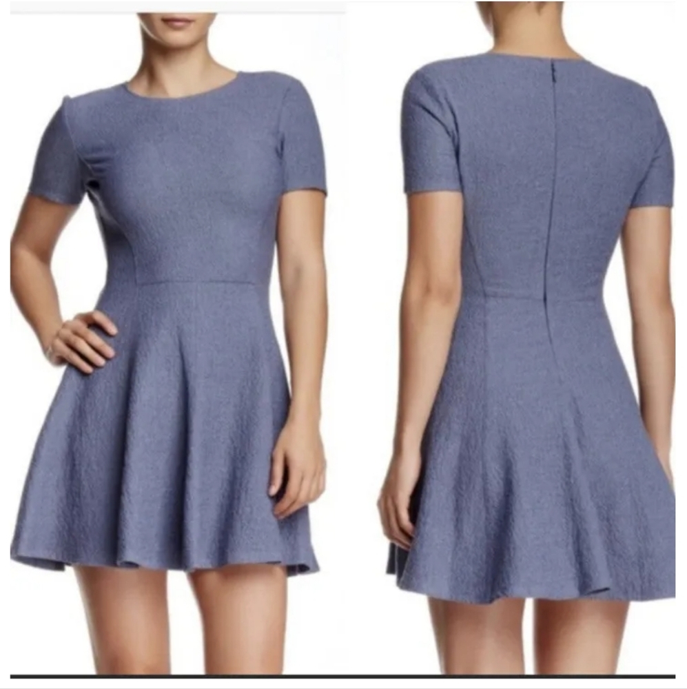 Theory Fit and Flare Dress 00
